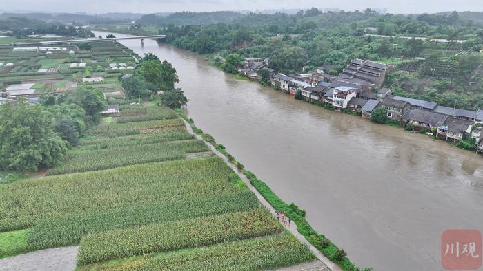 C视频丨降雨持续 双流永安加强辖区流域巡查排险