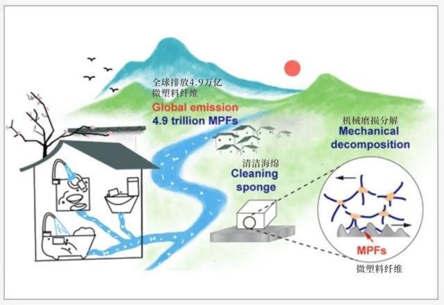 厨房常用的清洁海绵，1克就能释放650万个微塑料！减少摄入记住5点