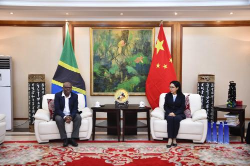 驻坦桑尼亚大使陈明健拜会坦总统府计划和投资部长姆昆博