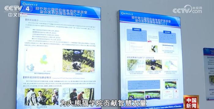 全国首个大熊猫学院正式招生 130秒一起详细了解↓↓↓