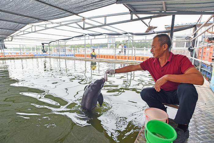 鹿鸣呦呦，江豚逐浪！荆楚大地成为“湿地精灵”栖息乐园