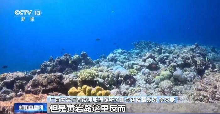 优！黄岩岛海域生态环境首次“全面体检”