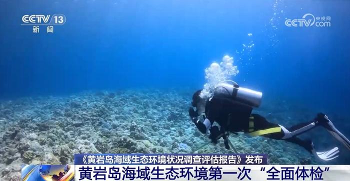 首张“体检报告”发布！中方保护下黄岩岛生态系统生机勃勃