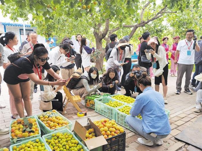 相约河州 遇见美好——甘肃文旅网红创作临夏站活动见闻