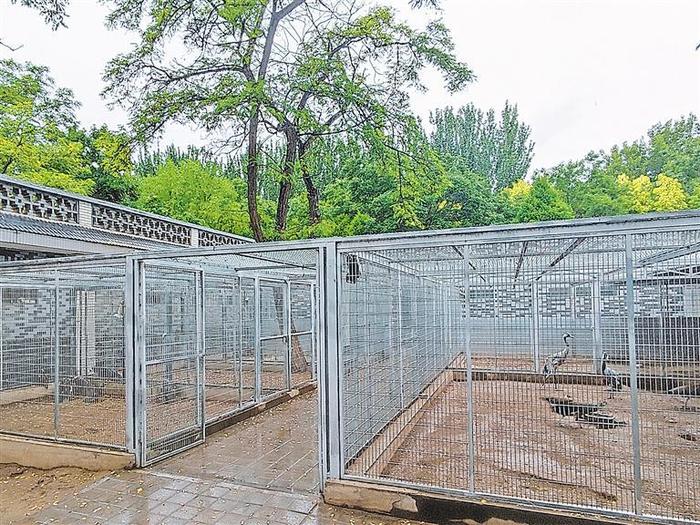 为野生动物打造一个温暖家园——探访宁夏野生动物“120急救中心”