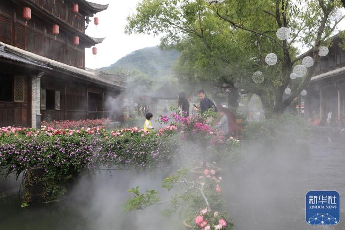 夏日乡村美景引游人