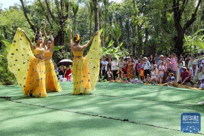 夏日乡村美景引游人