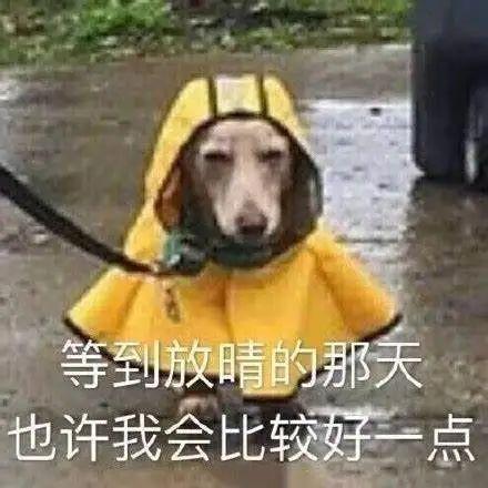 大风黄色预警！还有雷，有暴雨！明天最高温……