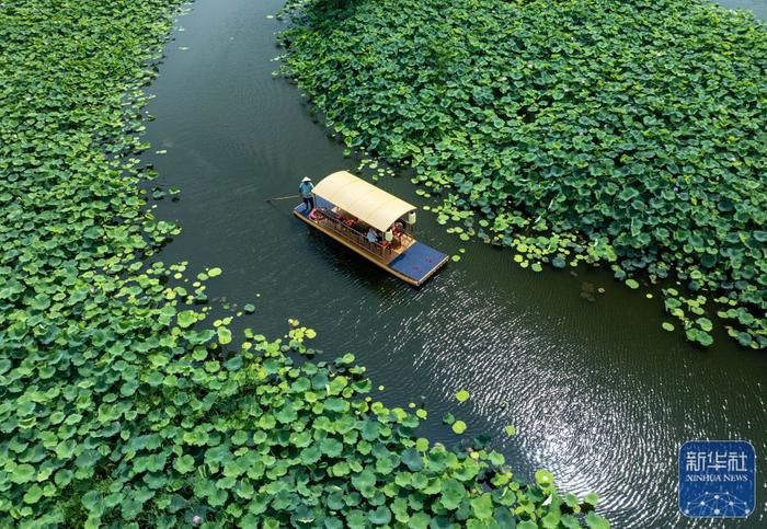 夏日乡村美景引游人