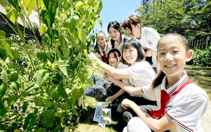 本草园里，海峡两岸青年共绘杏林梦