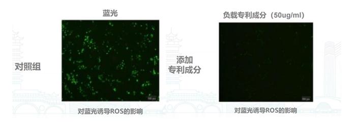 从机理研究出发 青山利康首款“抗光老”功效护肤品“华妍光钥”八月上市