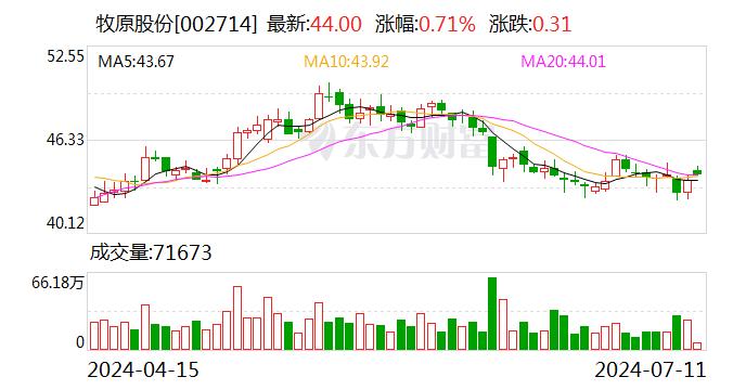 牧原股份2024年上半年扭亏为盈 6月成本降至14元/kg