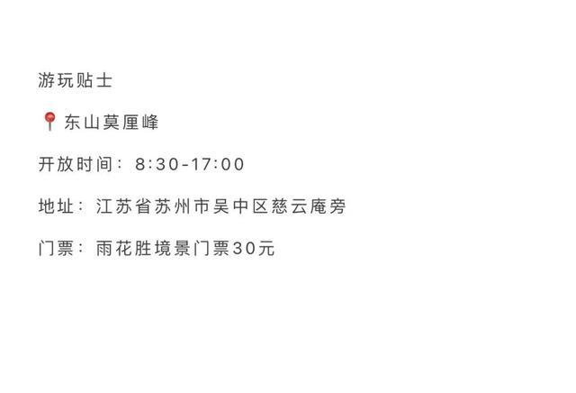 体荟四季｜携宠运动，向野撒欢！这个夏天和毛孩子们一起纵情山野