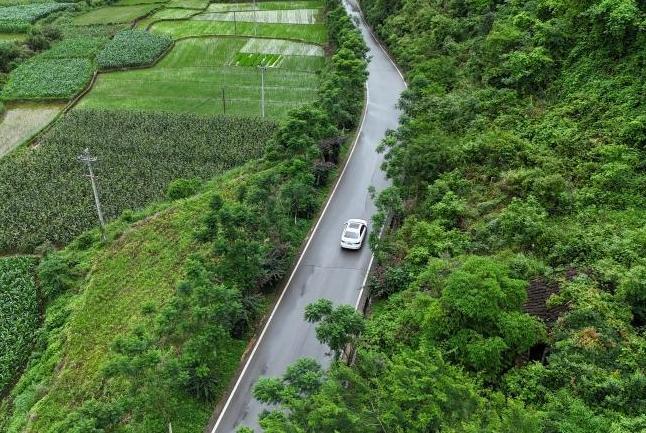 【云南】云南文山 多措并举建绿美公路 让百姓出行更美好