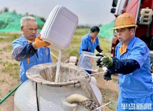 开飞机灭害虫