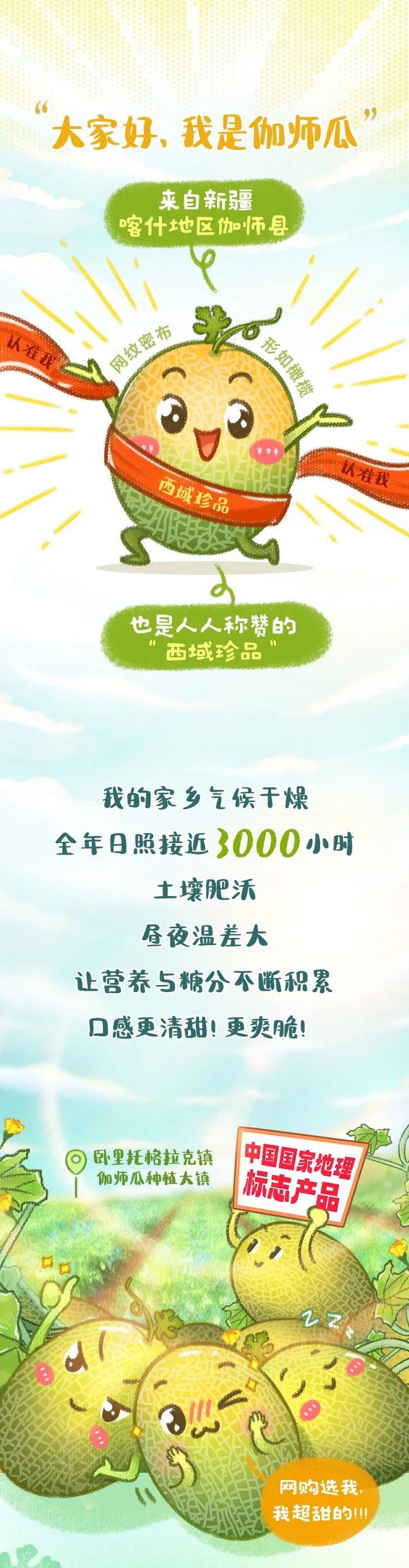 被问爆！哪里能买到超甜爆汁的伽师瓜？上链接！