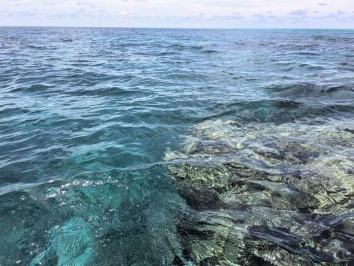 专家解读：黄岩岛海域“全面体检”报告包含哪些重要指标？如何回击菲律宾造谣抹黑？