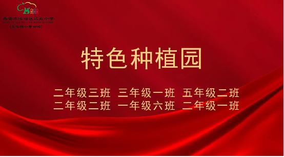 雁塔区第五小学举行2023-2024学年度第二学期结业典礼