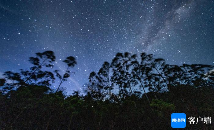 热带雨林云绕山间星满天 夏天一起来海南追“星”