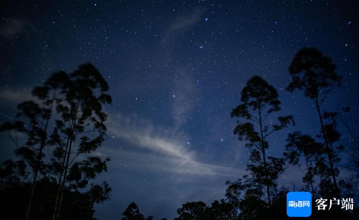 热带雨林云绕山间星满天 夏天一起来海南追“星”