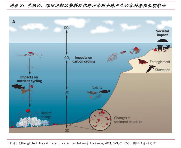 海水更清、海滩更净、海鸟更多……去年我国近海海域海水优良水质面积达85%的历史新高