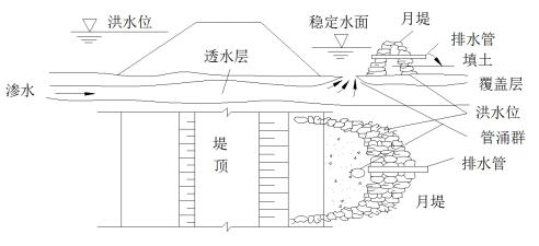 你关心的团洲垸⑤ | 除了管涌，洞庭湖堤防还需要注意什么？