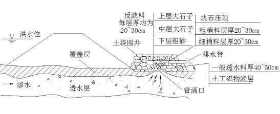 你关心的团洲垸⑤ | 除了管涌，洞庭湖堤防还需要注意什么？