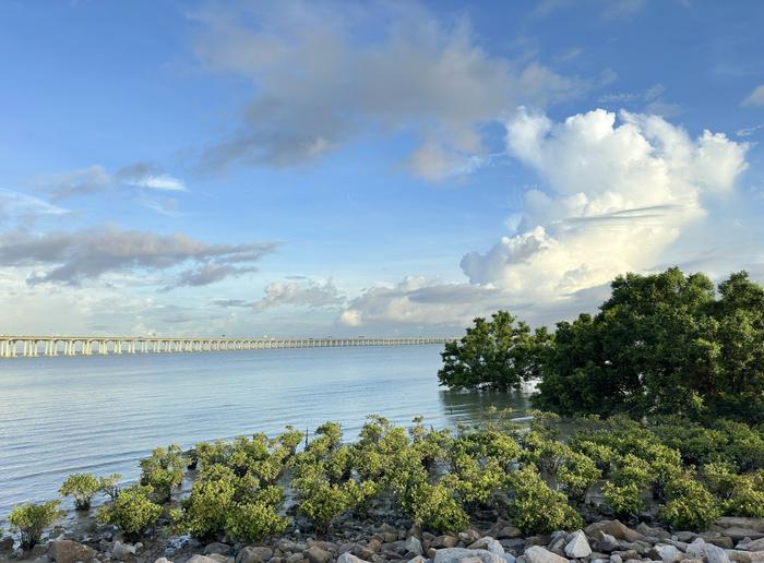 如何保护珊瑚礁、红树林等典型海洋生态系统？国家海洋局局长答央广网