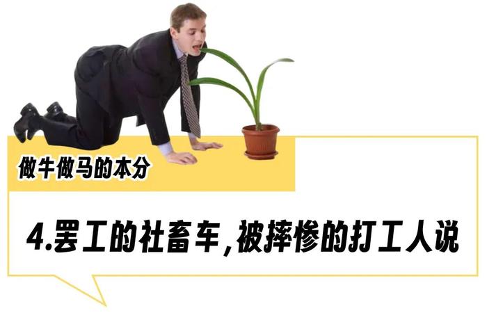 “早高峰为它抢成丧尸”，这玩意儿才是北京打工人最拉风的时尚单品