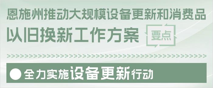 推动大规模设备更新和消费品以旧换新！恩施州方案来了→