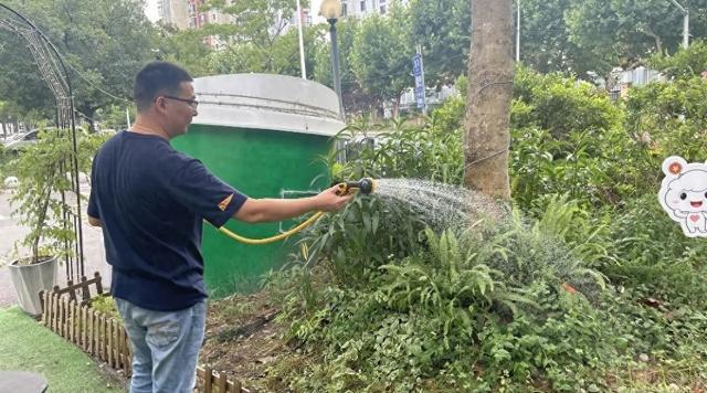 上海“暴力梅”后的雨水，这里竟然这么用→