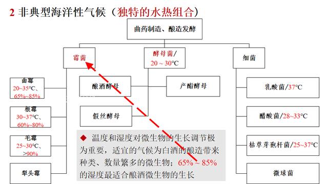 王乃昂：伊犁河谷集多种有利因素于一地，是出产好酒的地理密码