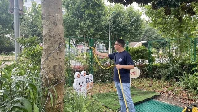 上海“暴力梅”后的雨水，这里竟然这么用→