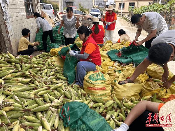 邵阳职业技术学院：浓浓关怀到天鹅 殷殷期许催奋进