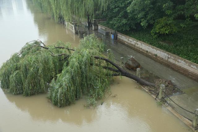 江苏多地连降暴雨，住建系统出动3万余人次抢险排涝