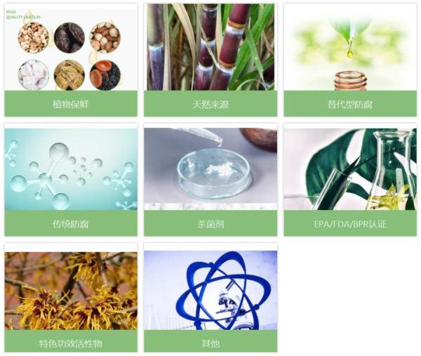 上海乾一化学品有限公司：创新引领，守护健康与美丽