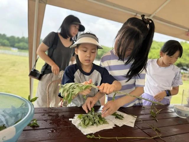 暑期去哪“浪”？来西渡农场体验夏日星空下的“自然营”→