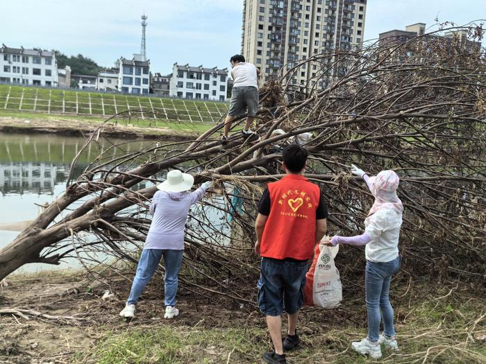 歙县桂林镇：全力以“复” 守护绿水青山