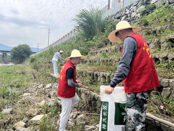 歙县桂林镇：全力以“复” 守护绿水青山