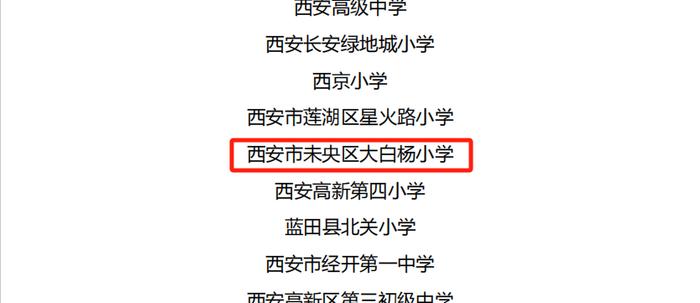 未央区大白杨小学在第二十四届西安市学生信息素养提升实践活动中喜获佳绩