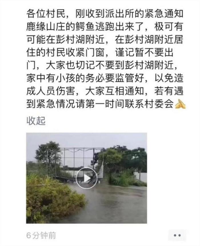 热闻|鳄鱼出逃事件多次发生，记者调查：一条鳄鱼宠物网售不到200，个人可以随便饲养？