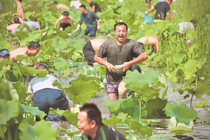 欢乐捉鱼庆祝“六月六”