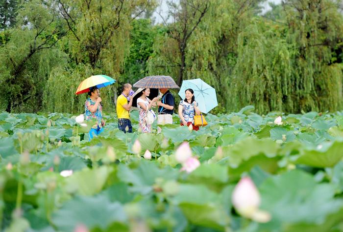 江苏金湖：全域旅游绽放美丽“金”彩