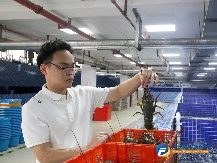 东兴互市进口龙虾落地加工项目战略合作签约仪式在北部湾国际海产品市场举行