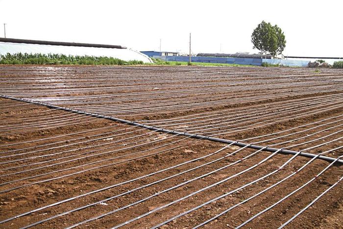 滴灌设施助力农业规模化种植