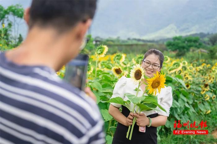 简直是福州版普罗旺斯！这片花海，太美了！