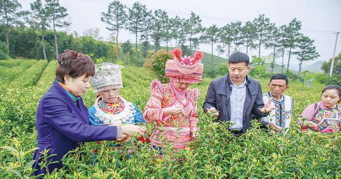 见证美丽中国实践——“国家重大战略中的市场监管力量”生态文明建设采访调研记