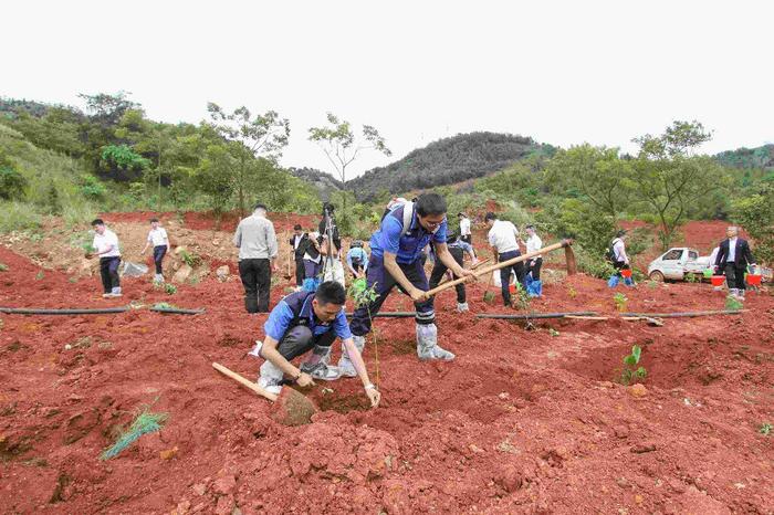 昆明市林草局携手昆明航空共植党建林