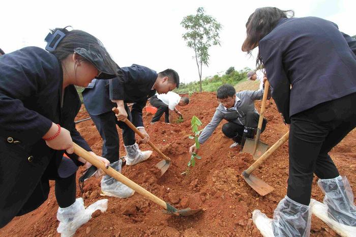 昆明市林草局携手昆明航空共植党建林