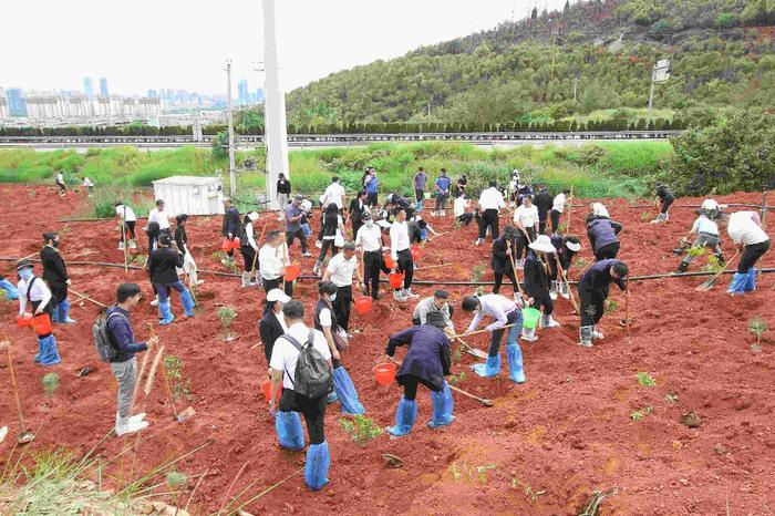 昆明市林草局携手昆明航空共植党建林